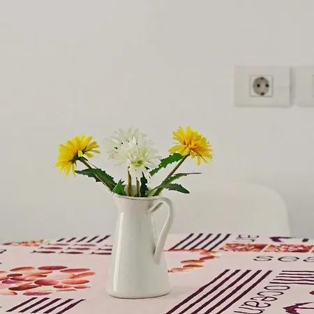 Apartmán Cristianos *